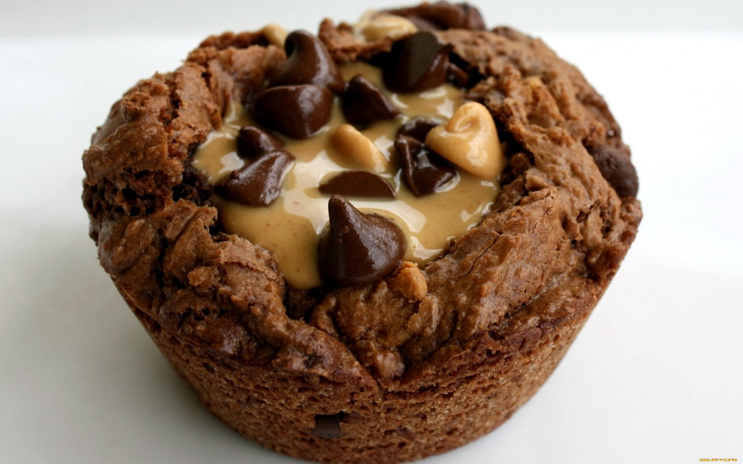 , ,  ,  , , , caramel, muffin